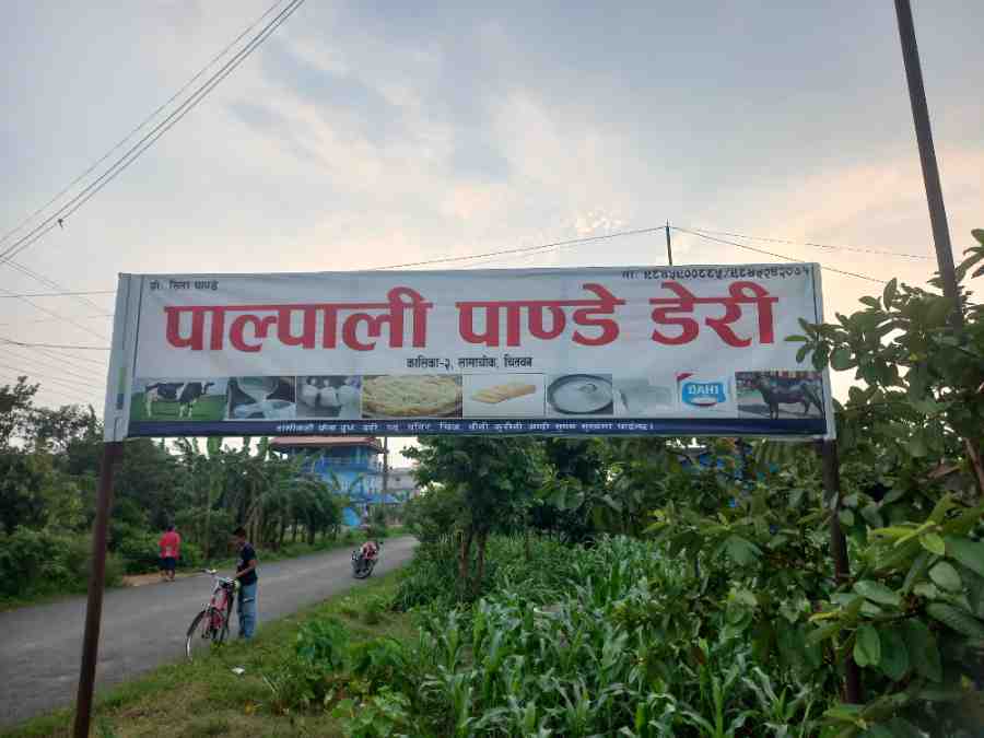 Palpali Pandey Dairy