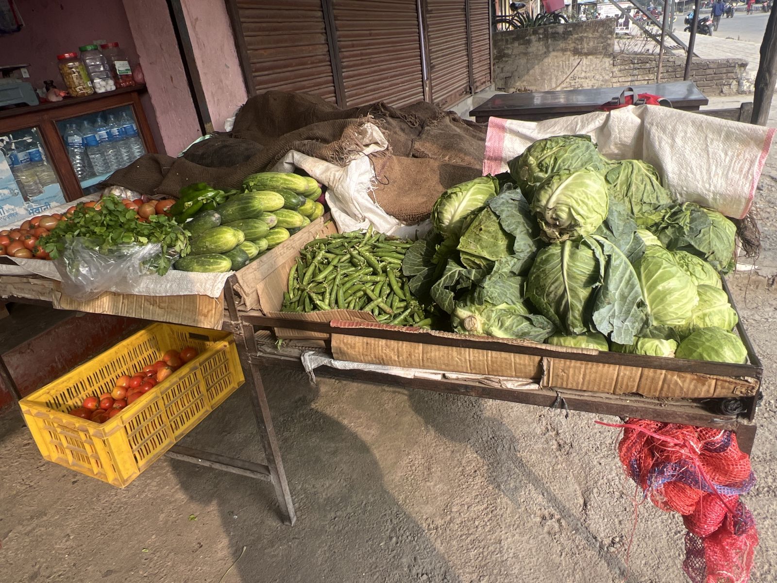 Shibam Tarkari Pasal